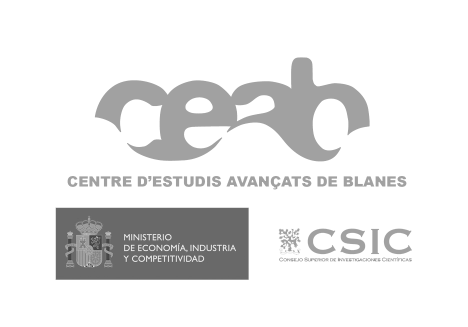 CEAB logo